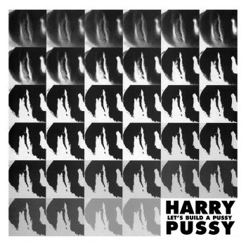 Let's Build A Pussy cover art